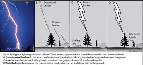 The Impact of Lightning Strikes on the Environment