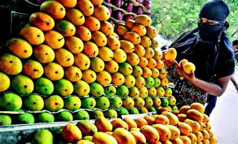 The Impact of Mango Cultivation on India's Economy and Trade