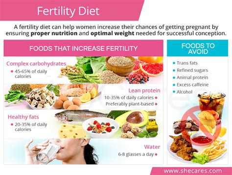 The Impact of Nutrition and Lifestyle on Fertility