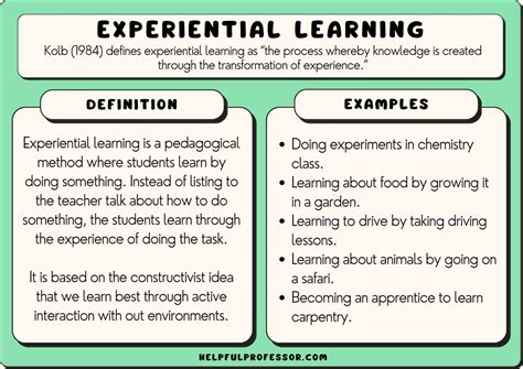 The Impact of Previous Experiences on Classroom Reveries