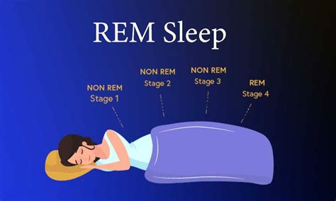 The Impact of REM Sleep on Dream Formation