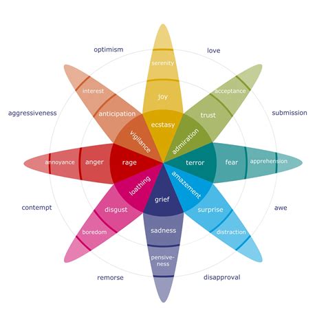 The Impact of Roseate Fabric on Emotions in Visions