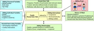 The Impact of Siblings on Social Development