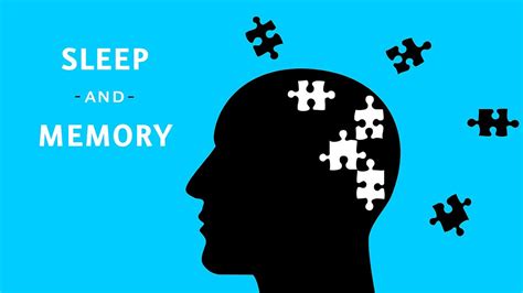 The Impact of Sleep on Memory Retention