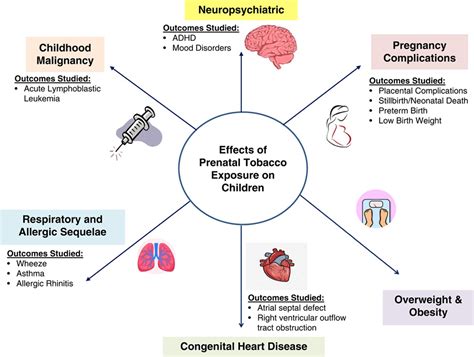 The Impact of Smoking on Fetal Development