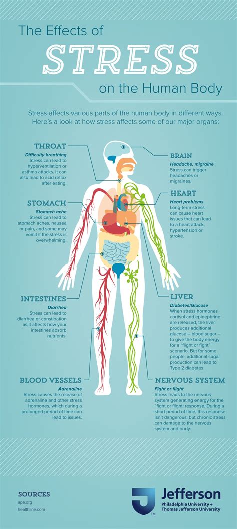 The Impact of Stress on Dream Experiences