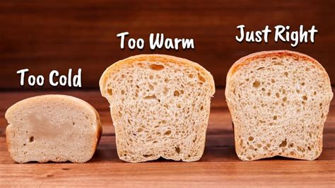 The Impact of Temperature on the Process of Dough Rolling