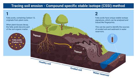 The Impact of Time: Understanding the Erosion of Memories