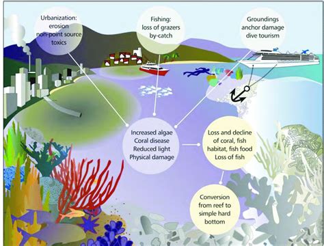 The Impact of Waves on Shaping the Ocean Ecosystem