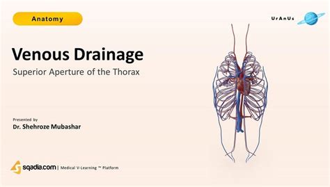 The Implications of a Drainage Aperture: Revealing Concealed Significances