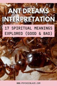 The Importance of Ants in the Interpretation of Dreams: An Extensive Guide