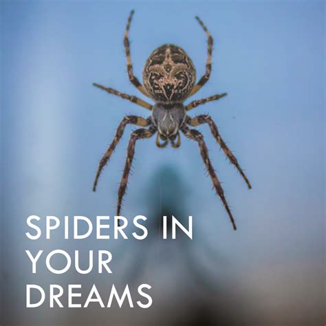 The Importance of Conquering Fear in Decoding Spider Dream Symbolism