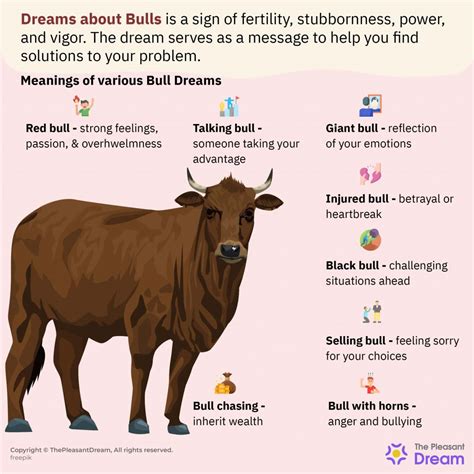 The Importance of Dreaming About a Diseased Bull