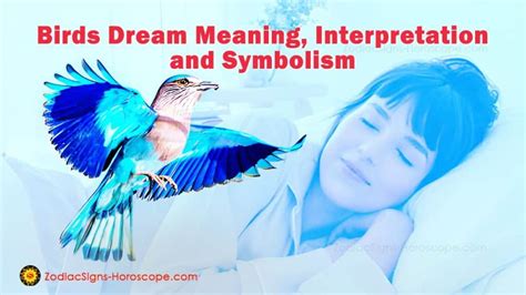 The Importance of Emaciated Birds in Dream Interpretation