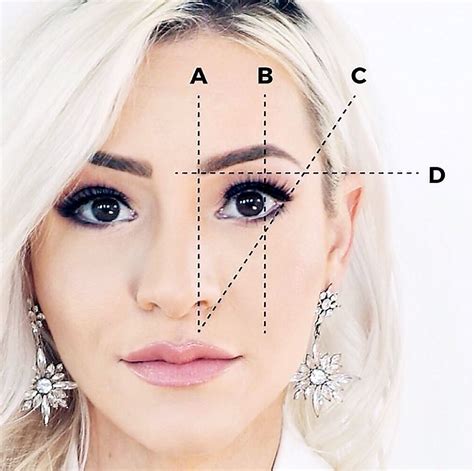 The Importance of Eyebrows in Facial Expressions and Personal Identity