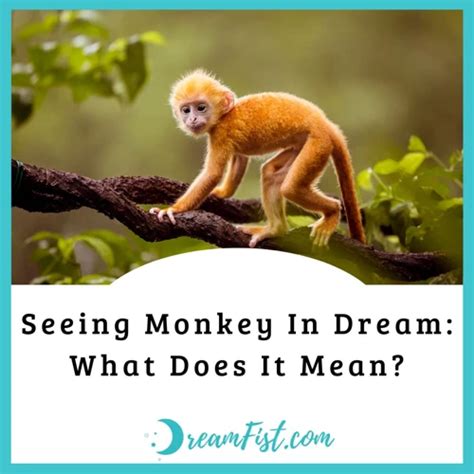 The Importance of Monkeys in Dreams and their Symbolism