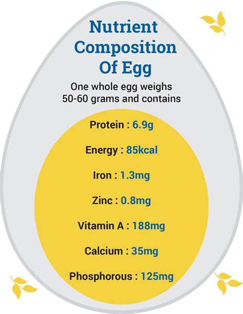 The Importance of Nutrition in the Development and Formation of Healthy Eggs