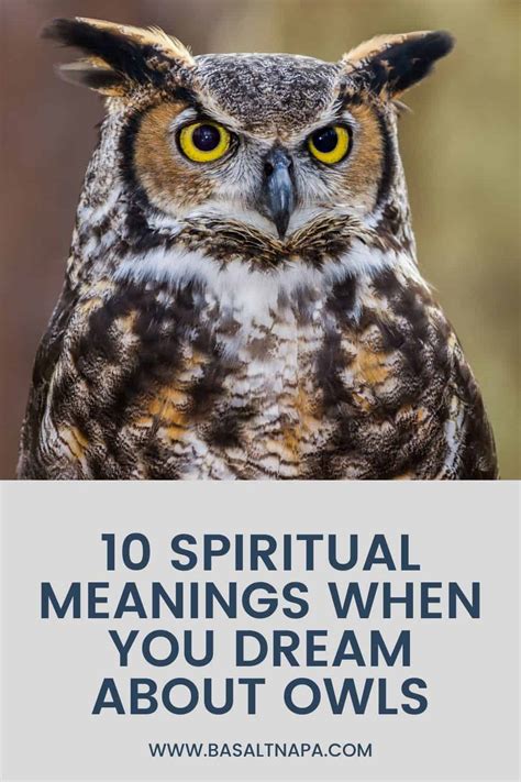 The Importance of Owls in Spirituality and Analysis of Dreams