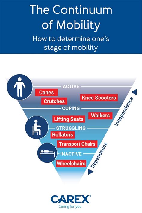 The Importance of Physical Mobility in Dreams