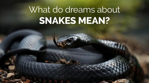 The Importance of Snake Sightings in Dream Experiences