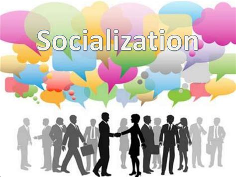 The Importance of Socialization and Training