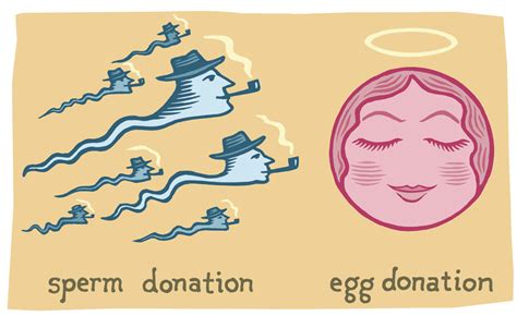 The Importance of Sperm and Egg Dreams in Different Cultures