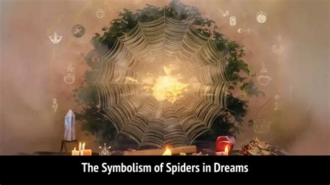 The Importance of Spiders in Dreams