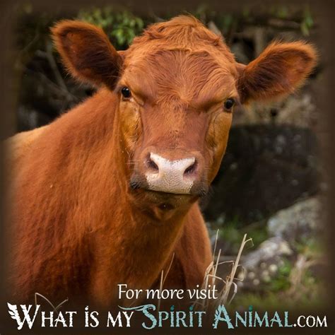 The Importance of a Petite Bovine Creature in the World of Dream Interpretation