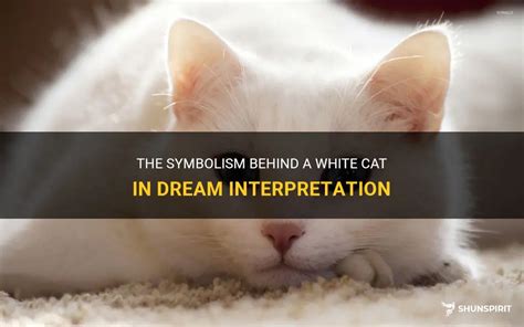 The Importance of a White Feline in Dream Analysis