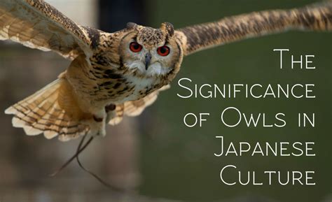 The Importance of an Owl in Various Cultures