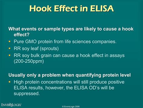 The Impressive Wealth and Lasting Impact of Elisa Tes