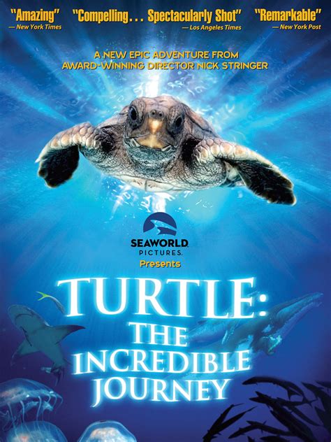 The Incredible Journey of Turtles: From Nest to Ocean