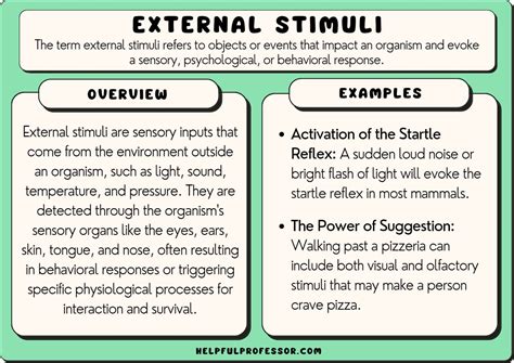 The Influence of Acoustic Stimuli: Investigating the Significance of Recognizing Personal Identity