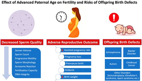 The Influence of Age on Fertility: Key Considerations for Aspiring Parents