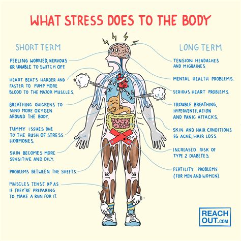 The Influence of Anxiety: How Stressful Situations Impact Dreams of Starvation