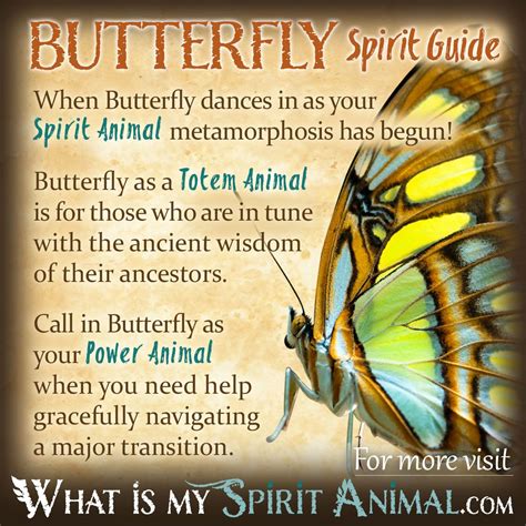 The Influence of Butterfly Symbolism in Various Cultures