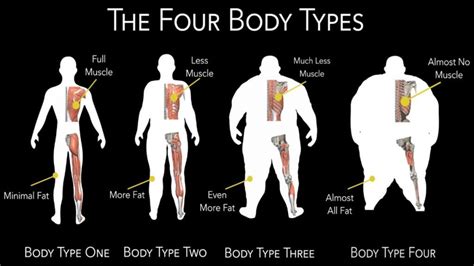 The Influence of Genetics on Body Weight and Shape