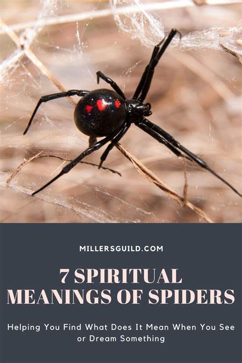 The Influence of Personal Associations on Spider Color Meanings