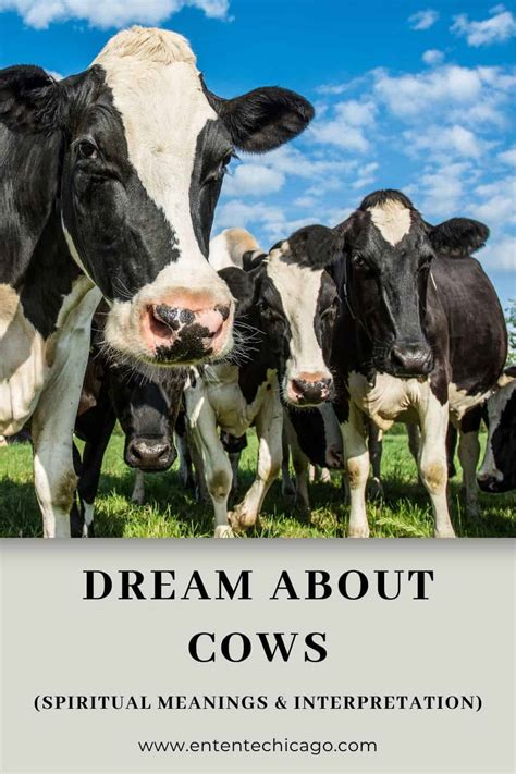 The Influence of Personal Beliefs on Understanding Dreams Involving Cow Sacrifice