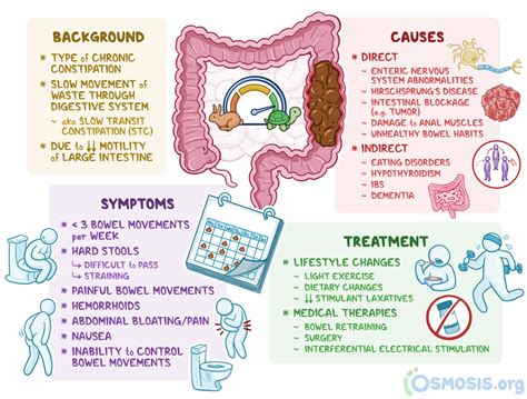 The Influence of Physical Factors on Frequent Bowel Movement Dreams