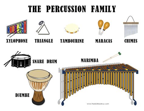 The Influence of Rhythm in the Experience of Observing Percussion Instruments in a Reverie