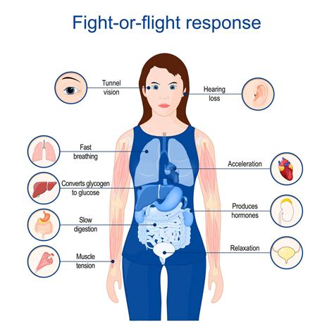 The Influence of Stress, Anxiety, and Trauma on Dreams Involving the Removal of Items Embedded in the Skin