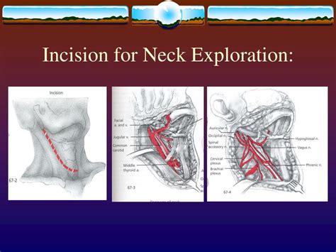 The Influence of Subconscious Trauma on Dreams Illustrating Neck Incisions