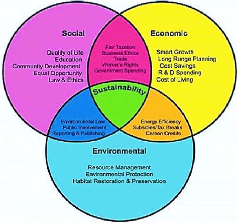 The Interconnection Between Dreams and the Environment