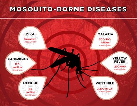 The Interconnection Between Mosquitoes and Diseases