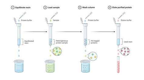 The Interconnection Between Salt and Purification in the Analysis of Dreams