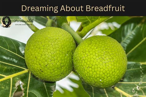 The Interpretation of Dreaming of Breadfruit: Messages from the Subconscious