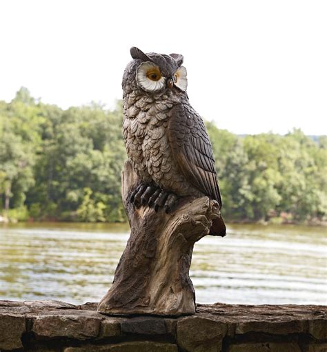 The Intricate Designs and Materials of Owl Statues