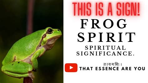 The Intricate Significance of Engaging with a Frog: Unveiling the Essence