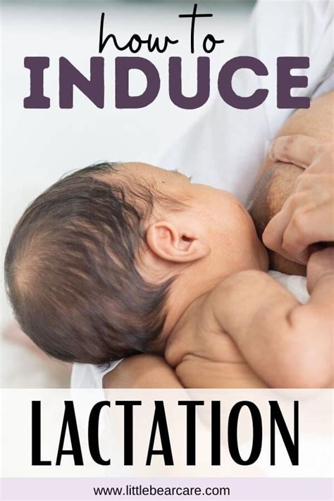 The Intrigue surrounding Induced Lactation: Intriguing Inquiry or Practical Implications?